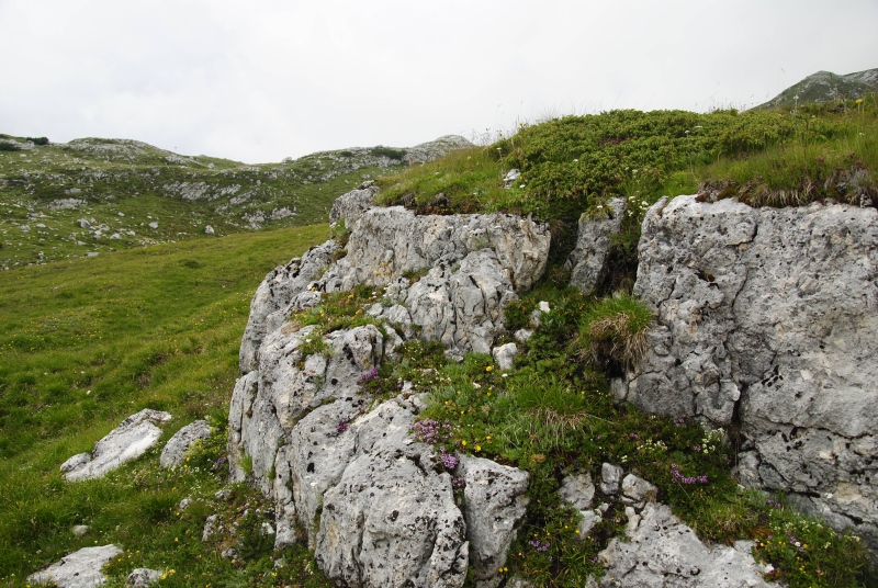 dolomiticum from Törl, Wegkreuzung