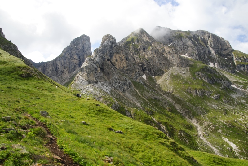 barbulatum from Col Piombin, W Abhang