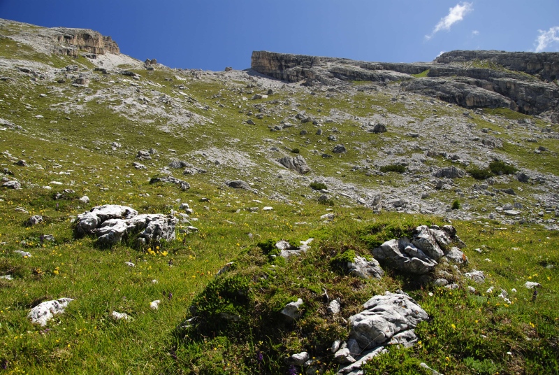 dolomiticum from Picco di Vallandro, S Abhang