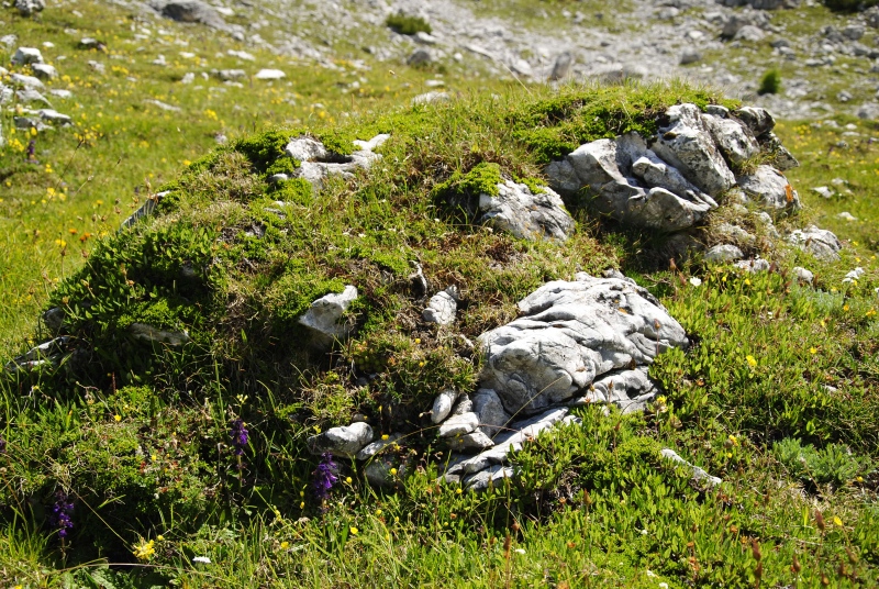 dolomiticum from Picco di Vallandro, S Abhang