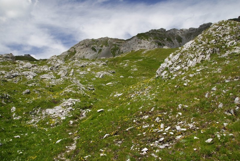 dolomiticum from Passo delle Selle
