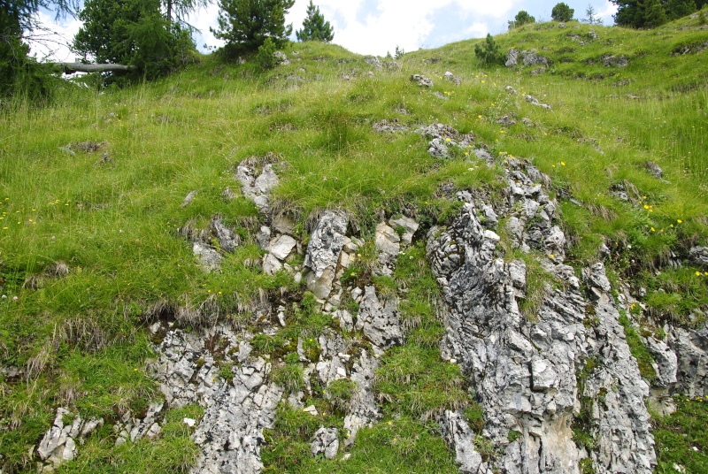 dolomiticum from Cima della Venegiota, SW Abhang