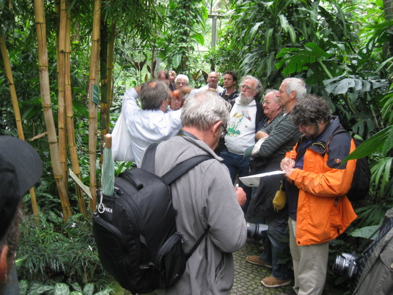 Botanischer Garten