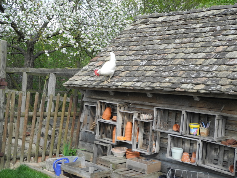 Hühnerhaus mit Huhn auf dem Dach