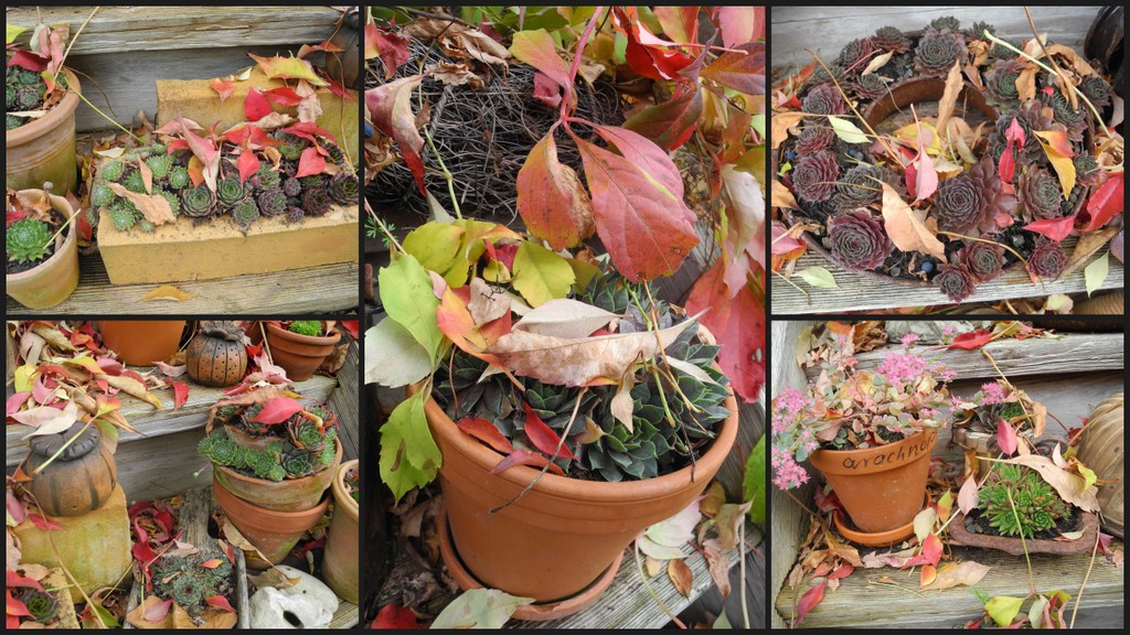 Herbstliche Collage