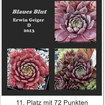 Blaues Blut