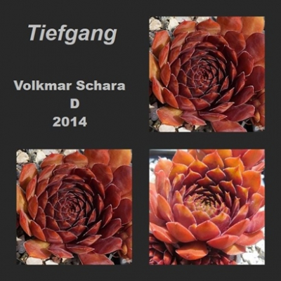 Tiefgang