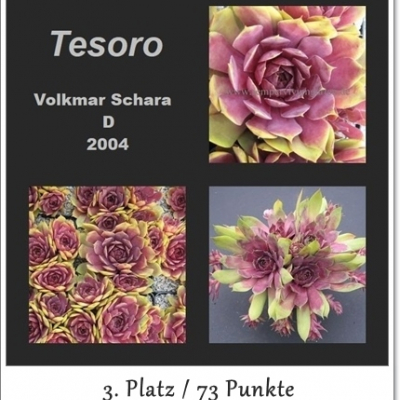 Tesoro
