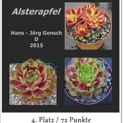 Alsterapfel