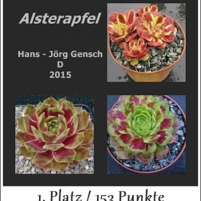 Alsterapfel