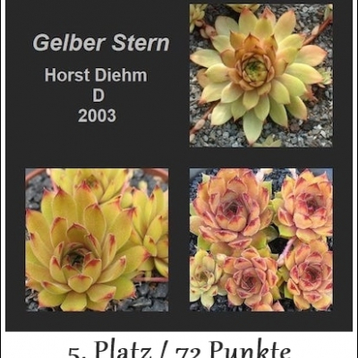 Gelber Stern