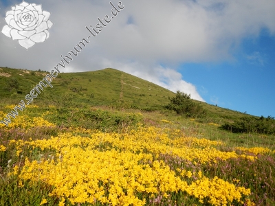 Reisebericht: Baba, Gipfel