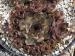 Hafdi