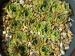 Jamie-Lee / Jovi