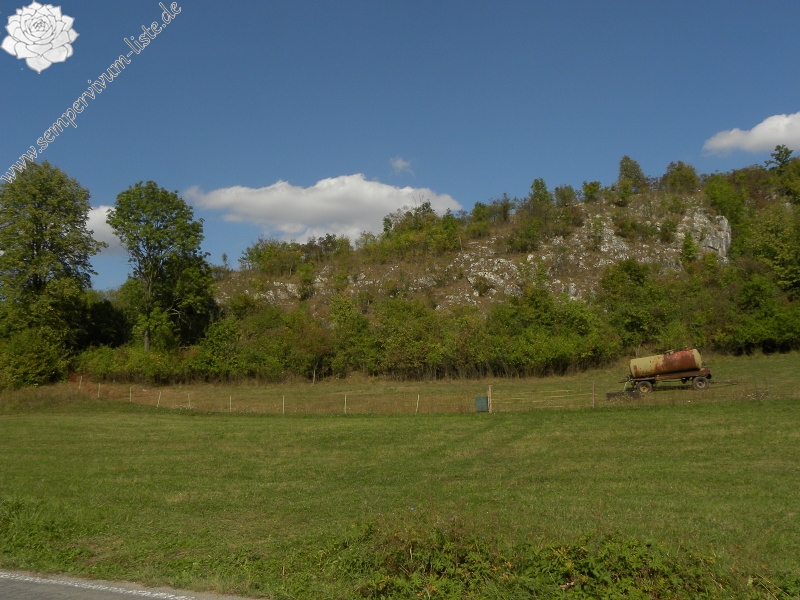 globiferum ssp. globiferum from Balcarka