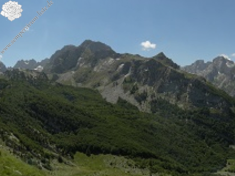 marmoreum from Ćafa Romanit (unten)