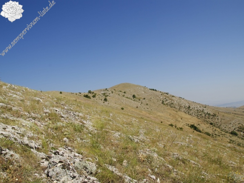 klepa from Gorno Čičevo (oberhalb)