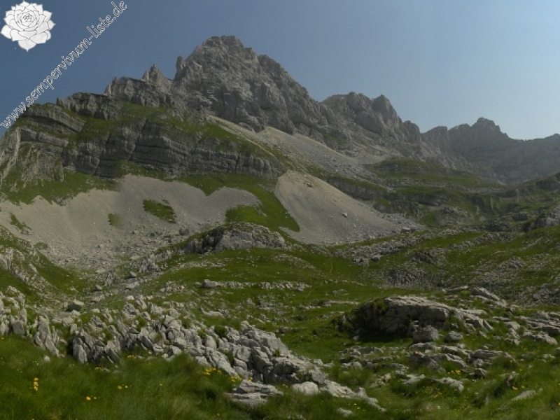 marmoreum from Mliječni do