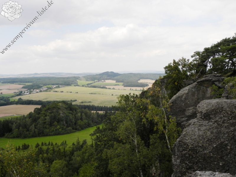 globiferum ssp. globiferum from Špičák bei Mezí