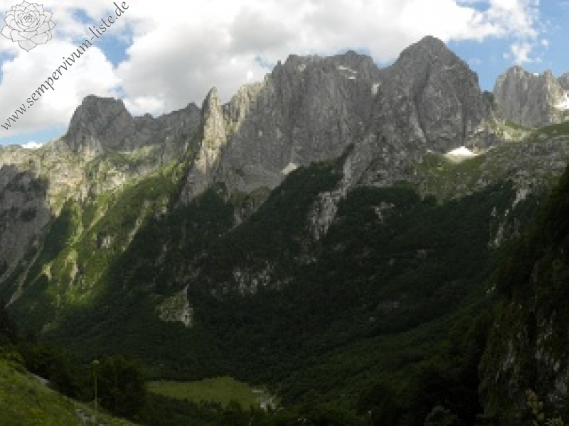 kosaninii from Grbaja