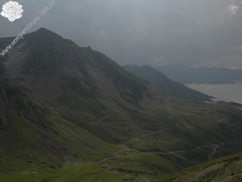 barbulatum from Col du Tourmalet (unterhalb)