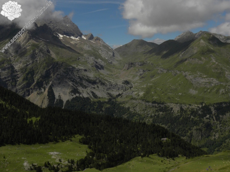 barbulatum from Gavarnie, Hütte Pailla