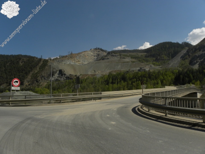 globiferum ssp. hirtum (hillebrandtii) from Gulsen