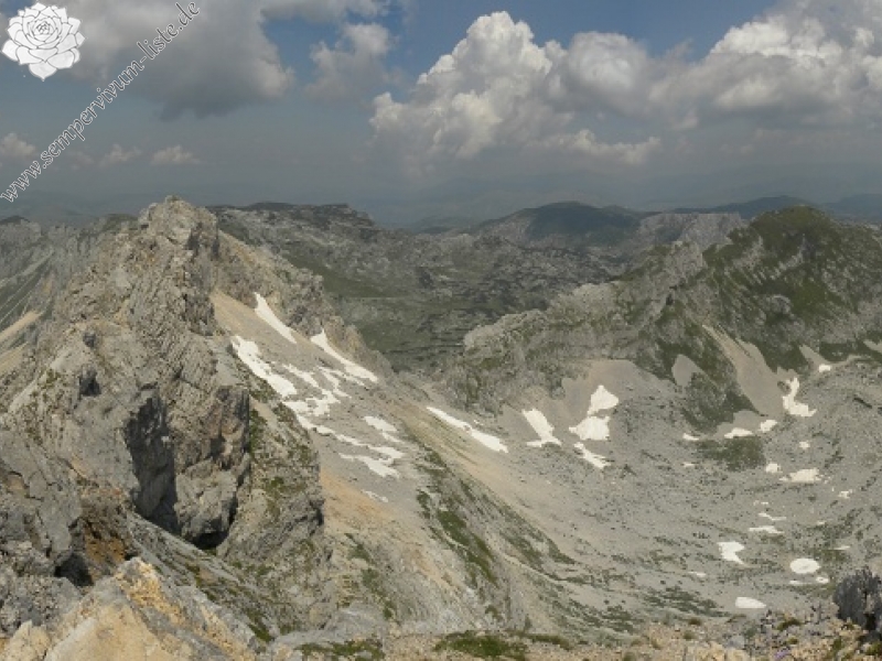 heuffelii (glabrum) from Mliječni do
