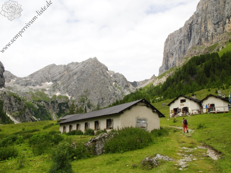 arachnoideum from Malga Ombretta