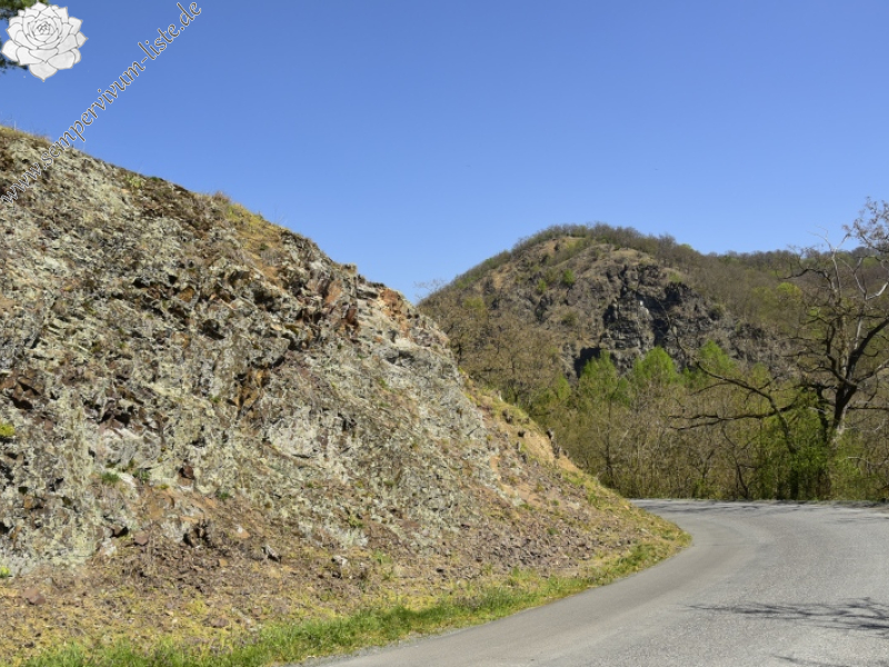 globiferum ssp. globiferum from Týřovice, SO