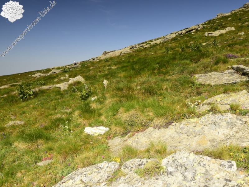 Reisebericht: Kajmakčalan, SO Abhang, 2