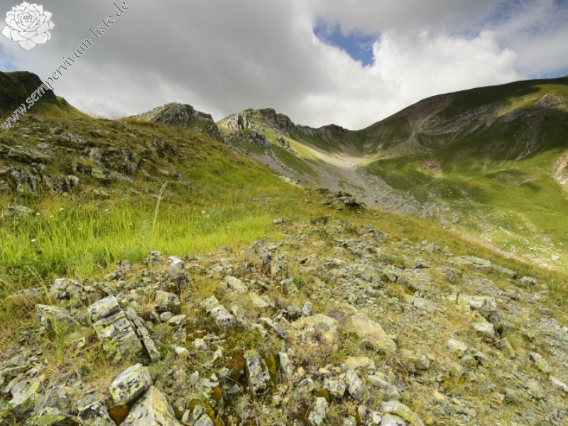 Reisebericht: Matsouki, N